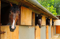 free Trecenydd stable construction quotes